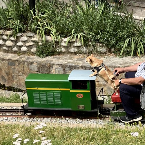 XXX Trobada de Modelistes i Vaporistes: Tres dècades fent bategar el cor del Parc de Vallparadís
