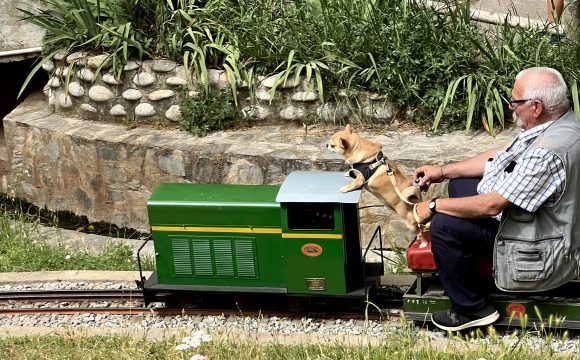 XXX Trobada de Modelistes i Vaporistes: Tres dècades fent bategar el cor del Parc de Vallparadís