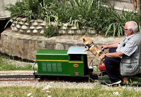 XXX Trobada de Modelistes i Vaporistes: Tres dècades fent bategar el cor del Parc de Vallparadís
